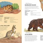 26th February - Desert Bandicoot. 27th February - Crescent Nail-Tail Wallaby. 28th February - Barbados Racer. 29th February - Atlas Bear.