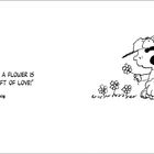 „The gift of a flower is always a gift of love.“ Lucy. Illustration eines Mädchens, das Blumen pflückt.