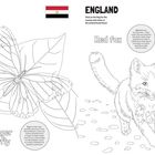 Text: "EGYPT", "Plain Tiger butterfly", "ENGLAND", "Red fox". Links Schmetterling, rechts Fuchs, Flaggen oben.
