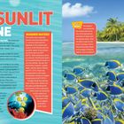 Text: "THE SUNLIT ZONE", "WARMER WATERS", "OCEANS". Eine tropische Strandlandschaft mit bunten Fischen im klaren Wasser.