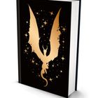 Der Einband zeigt einen goldenen Drachen vor einem schwarzen Hintergrund mit funkelnden Sternen.