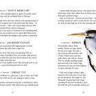 22 FEBRUARY | DOG’S MERCURY, 23 FEBRUARY | JACKDAW FLIGHT, 24 FEBRUARY | GREAT TIT, 25 FEBRUARY | HERON. Rechts Illustration eines Reihers.