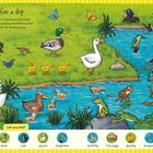 Text oben: "Time for a dip." Illustration zeigt Enten, Gänse, Frösche an einem Teich. Unten eine Suchliste mit Tieren.