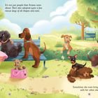 Text: Oben steht „It's not just people that Ariana cares about. She's also adopted quite a few rescue dogs of all shapes and sizes." Unten steht „Sometimes she even brings the smaller ones with her when she's working!”

Illustration eines Parks mit einer Frau, umgeben von verschiedenen Hunden.