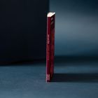 Der Buchrücken zeigt: "Sense and Sensibility", darunter "Jane Austen". Es steht aufrecht vor dunklem Hintergrund.