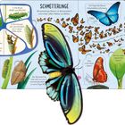 "Schmetterlinge" steht groß oben. Ein großer bunter Schmetterling ist abgebildet, umgeben von mehreren kleineren Schmetterlingen. Texte erklären den Lebenszyklus und Details von Schmetterlingen.
