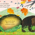 Text: „Wenn es noch kälter wird, fliegen viele Vögel in wärmere Gegenden. Was macht diese Bärin mit dem trockenen Laub?“  
Illustration: Eine Bärin mit Herbstlaub und Vögeln.