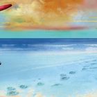 Text: "When dogs get to heaven they’re welcomed by name, and angels know every dog’s favorite game." Dalmatiner mit Frisbee am Strand.