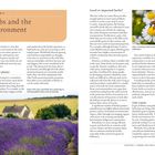 Kapitel 3: Kräuter und die Umwelt. Überschriften: "Loss of wild plants" und "Local or imported herbs?". Unten: violeles Lavendelfeld.