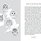 Rechts ist ein Text über Eulenarten der britischen Inseln, links eine Karte mit fünf Eulenzeichnungen: Short-eared, Barn, Long-eared, Tawny, Little.