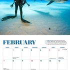 FEBRUARY. Ein Tigerhai schwimmt an einem Taucher in den nördlichen Bahamas vorbei. Unten ein Monatskalender.