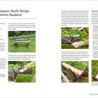 Titel: "How to Prepare Bark Strips for Woven Baskets". Der Text beschreibt das Entfernen und Vorbereiten von Rindenstreifen. Bilder zeigen Werkzeuge und Techniken.