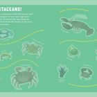 Text: "I SEE CRUSTACEANS!" Bilder von Krustentieren auf grünem Hintergrund mit informativen Fakten daneben.