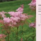 Inhaltsverzeichnis mit Themen wie Einführung, Pflanzenideen; links zarte rosa Blüten auf grüner Wiese.