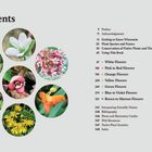 Inhaltsverzeichnis mit Blütensymbolen. Themen umfassen Blumenfarben und Pflanzenarten. Sieben runde Blumenfotos.