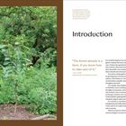 "Introduction" und Zitat: „The forest already is a farm, if you know how to take care of it.“ Links: Baum in grünem Wald.