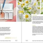 Texte: "Flower Paint", "Flower Pounding", "Flower Ice". Farben und Blumen auf einer Palette, Kamillenblumen in Eis eingefroren.