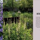 Text: "INTRODUCTION. Blue wild indigo (Baptisia australis) blooming in May." Bild zeigt lila und weiße Blüten in einem Garten.