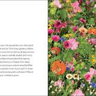 Links steht: "Location, Location, Chaos". Rechts: Bunte Blumenwiese, Text auf Schild: "Look for a sunny location...".