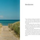 Text: "Introduction. Summer at the lake is everything summer should be."  
Bildbeschreibung: Ein Holzpfad führt durch Dünen zum Meer mit klarem Himmel.