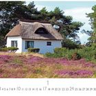 "Hiddensee, Reetdachhaus" steht links unten. Ein weißes Haus mit Reetdach, umgeben von lila Heide und Bäumen.