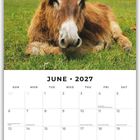 JUNE 2027. Ein Esel liegt auf einer grünen Wiese, im Hintergrund sind Kühe zu sehen.
