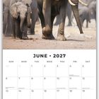 Kalenderblatt für Juni 2027. Ein Elefant und Jungtiere auf staubigem Boden. Feiertage und Notizfelder unten.