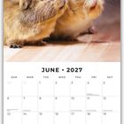Juni 2027 Kalender mit Feiertagen. Zwei Meerschweinchen kuscheln auf einem Holzboden.