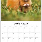 Juni 2027. Zwei orangefarbene Mäuse sitzen auf einer grünen Wiese. Kalender mit Feiertagen.