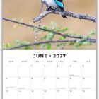 "JUNE 2027" steht über einem Kalender. Darauf sitzt ein farbenfroher Vogel auf einem Zweig im Vordergrund.