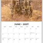 Juni 2027 Kalender mit Erdmännchen in einer trockenen Landschaft. Feiertage und Notizfelder sind vorhanden.