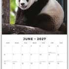 Text: "JUNE 2027". Kalender mit Feiertagen. Oben ein Panda auf einem Baumstamm sitzend.
