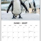 "June 2027" steht oben. Unten ein Kalender mit sonntags beginnender Woche. Oben Pinguine am Strand.