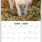 "June 2027" steht über einem Kalendarium. Oben ein Ferkel auf Stroh. Feiertage wie "Flag Day (USA)" und "Matariki (NZ)" sind vermerkt.