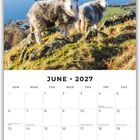 JUNE 2027. Zwei Schafe stehen auf einem felsigen Hügel mit Blick auf einen See und Wald im Hintergrund.
