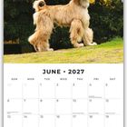 Juni 2027 Kalenderblatt mit einem Afghanenhund, im Hintergrund grüne Büsche und gelbes Gebäude sichtbar.