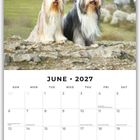 „June 2027“ oben groß. Zwei langhaarige Hunde sitzen auf Felsen mit einer verschwommenen Stadtlandschaft im Hintergrund.
