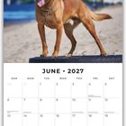 Kalenderblatt mit "June 2027". Bild von einem braunen Hund am Strand. Details wie Notizen und Feiertage sind sichtbar.