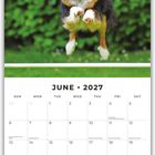 Juni 2027 Kalender mit einem springenden Hund vor einer grünen Hecke. Unten Platz für Notizen.