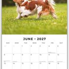 Kalender für Juni 2027, Daten markiert mit Feiertagen. Oben läuft ein Spaniel fröhlich über eine Wiese.