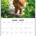 "June 2027" steht oben. Darunter ein Kalender. Ein Dackel steht auf einem Weg zwischen grünen Pflanzen.