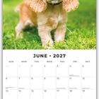 Juni 2027 Kalender, Welpe mit langen Ohren sitzt auf grünem Gras. Feiertage sind markiert.