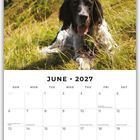Text: "June 2027." Kalender mit Bild von einem Hund auf einer grünen Wiese, umgeben von hügeliger Landschaft.