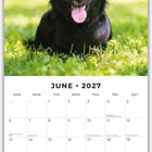 Juni 2027 Kalender. Oben ein schwarzer Hund auf grünem Gras, der freundlich in die Kamera schaut.
