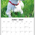 "JUNE 2027" steht oben. Ein Hund mit rotem Halsband sitzt im grünen Gras. Darunter ein Kalender mit Feiertagen.