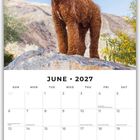 „JUNE 2027“ oben. Darunter ein Kalender. Ein brauner Hund steht auf einem Felsen mit blauem Himmel im Hintergrund.