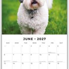 Kalender: "June 2027". Oben ein Hund auf grünem Rasen. Darunter Wochentage und besondere Ereignisse.