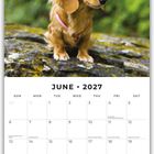 Text: "June 2027". Ein Hund sitzt auf einem Felsen vor unscharfem grünem Hintergrund. Darunter Kalendertage.