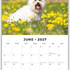 Kalender für Juni 2027. Oben ein Hund auf einer Wiese mit gelben Blumen unter blauem Himmel.