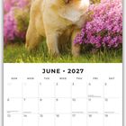 "JUNE • 2027" und Kalenderansicht. Ein Mops-Welpe steht im Sonnenschein neben pinken Blumen auf einer Wiese.